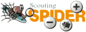 Scouting Spider