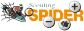 Scouting Spider
